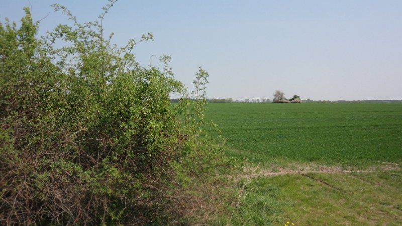 Brevet Fruehjahrsbegegnung 1093